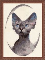 Клеопатра из серии наши любимцы