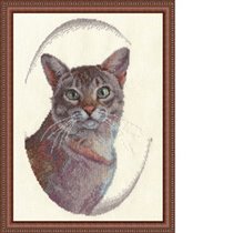 Мурзик из серии наши любимцы