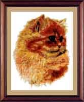 Рыжик из серии наши любимцы