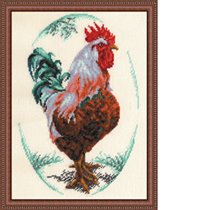 Петух из серии наши любимцы