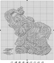 Слон. Картинки временно нет