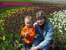 В тюльпанах