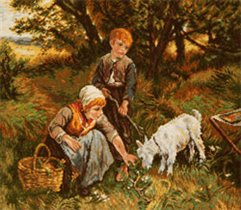 wiehler - 3625 dzieci z koza