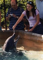 Я кормлю дельфина в Орландо.