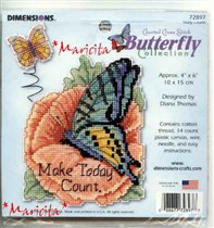 Butterfly Today Counts - Dimensions