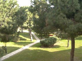 Кайя Селект