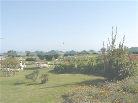 Кайя Селект