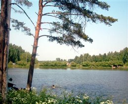 Пруд в парке 'Берендеевка' г. Кострома