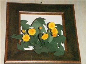 одуванчики