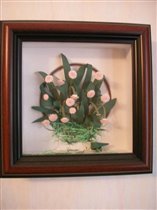 маргаритки