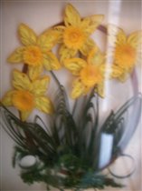 нарциссы