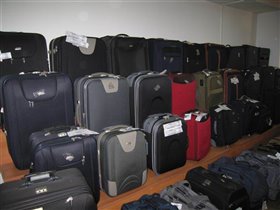 Общий вид на 1/4 всех представленных чемоданов