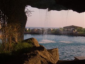 Ресторан Starlights