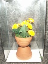 Мать-и мачеха