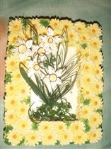 Белые нарциссы