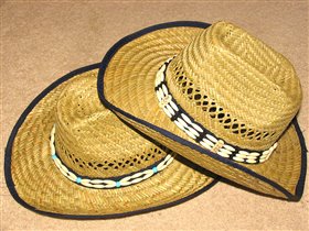 Ковбойские шляпы для Стампида