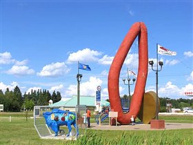 Общий вид колбасы и бизона