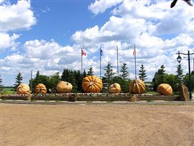 Smoky lake. А вот и тыквочки... Много и большие!