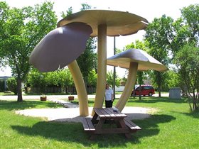 Vilna. А вот и грибочки. Там внизу для размера я стою....