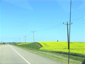 Очень красиво, прямо как коврик постелили