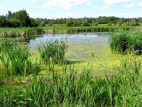 Украинская деревня. Переход по мосту через реку...