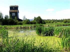Украинская деревня. Переход по мосту через реку... 