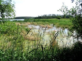 Украинская деревня. Переход по мосту через реку... Первые шаги