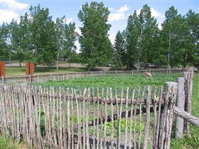 Украинская деревня. Огороды настоящие.