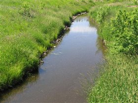 Vegreville. Вид с мостика