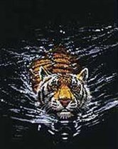Плывущий тигр