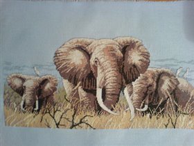 Cлоны Dimеnsions