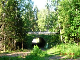 мостик в лесу
