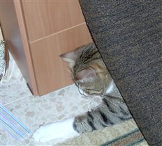 Трудно избавиться от дурных привычек