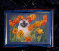 кот в тюльпанах