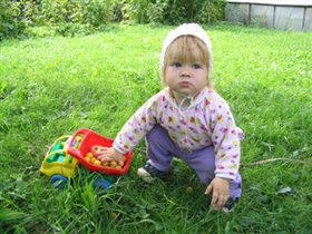 Собираем урожай