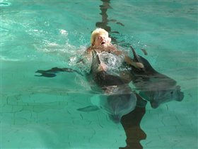 Наша бабушка - укратительница дельфинов!