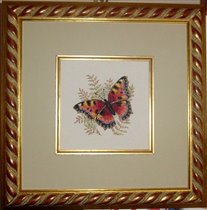 Dimensions. Graceful Butterfly