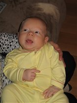 Птица-говорун