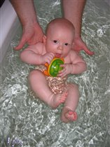 Купание с черепахами