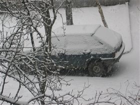 Снегопад с самого утра и на весь день...