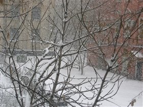 кажется наступила зима... 