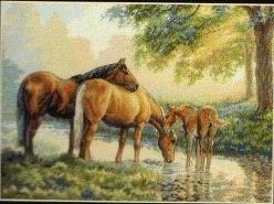35174 - Horses by a Stream