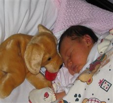 Сабрина родилась в год собаки