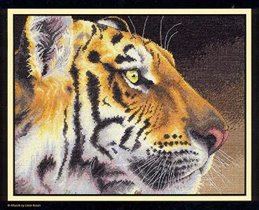 35171 - Regal Tiger