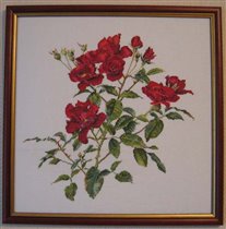 #411 Fervid Rose Red, Thea Gouverneur 