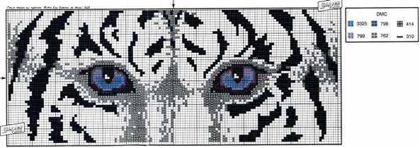 Глаза Тигра - Схема