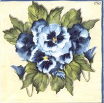 анютины  глазки