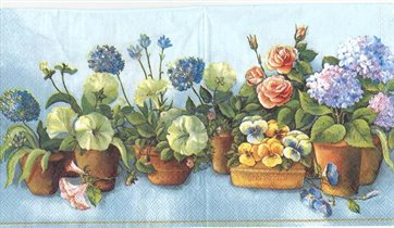 цветы в горшках