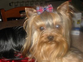 после мытья