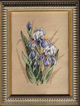 Дименсионс